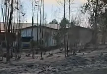 Dos viviendas resultan afectadas y se refuerzan evacuaciones por incendio forestal en Maule Incedio-Forestal-Maule