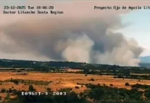 Incendio forestal Central Rapel