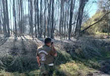 LABOCAR de Carabineros investiga incendio forestal ocurrido en sector Vara Gruesa de Linares