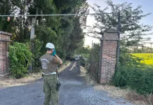 Labocar Maule investiga incendio de vehículo en Ruta 5 Sur, comuna de Villa Alegre
