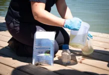 Declaran zona de riesgo sanitario en el Lago Vichuquén por presencia de cianobacterias toxinas Lago Vichuquén queda bajo restricción sanitaria por riesgo para la salud