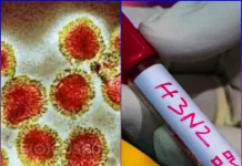 MINSAL confirma la presencia del subclado K de influenza A(H3N2) en Chile