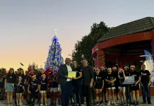 Molina enciende su árbol de Navidad con música, presentaciones infantiles y actividades comunitarias en Lontué y Plaza de Armas
