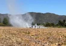 Quemas controladas (2)