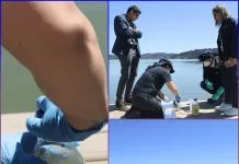 Seremi de Salud toma muestras de agua en Playa Paula mientras Vichuquén espera resultados del IFOP para definir nuevas medida-0