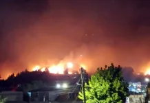 SENAPRED mantiene Alerta Roja en Maule y declara Alerta Amarilla en Linares incendio Fortestal Maule - 24-12-2025