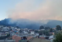 incendio san antonio constitucion