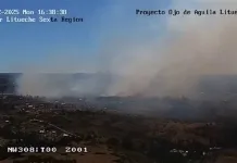 ojo-aguila-litueche-29-12-2025