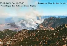 Declaran Alerta Roja para la comuna de Pichidegua por incendio forestal “Larmahue” ojo-aguila-pichidegua