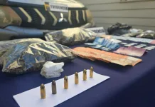 PDI detiene a ocho personas por comercialización de drogas en Rengo, Pichidegua y Las Cabras 78113230-afef-4c67-8d5c-7b698b53e54f