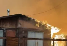 Decretan Estado de Catástrofe regiones de Ñuble y Biobío por avance de incendios forestales Screenshot