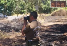 Labocar Maule investiga incendio forestal ocurrido en San Clemente Labocar Maule investiga incendio forestal ocurrido en San Clemente
