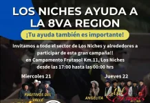 Los Niches impulsa campaña solidaria en apoyo a familias afectadas por incendios forestales en el Biobío