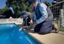 Más de 160 piscinas en el Maule: llaman a denunciar incumplimientos y exigir condiciones seguras Más de 160 piscinas en el Maule llaman a denunciar incumplimientos y exigir condiciones seguras