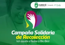 Municipalidad de Curicó inicia campaña solidaria para apoyar a zonas afectadas por incendios forestales
