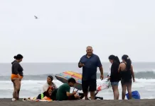 Municipalidad de Curicó inicia programa “Tu Verano Feliz 2026” c