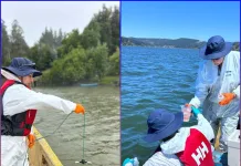 Tecnología chilena apunta a recuperar el Lago Vichuquén tras crisis por algas tóxicas