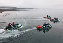 Turistas rusos perturban colonia de pingüinos en Islote Conejos y autoridades ordenan su expulsión del país Turistas rusos perturban colonia de pingüinos en Islote Conejos Chiloe