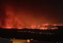 Autoridades confirman 19 fallecidos y más de 1.500 damnificados por megaincendios en Ñuble y Biobío c34cafec-4a0e-4cb4-aa76-bcc458f4c074
