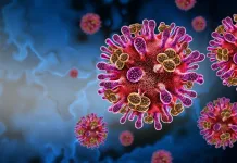 virus Nipah