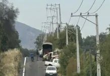 Fatal accidente en sector Monte Oscuro deja un fallecido en la comuna de Río Claro 9609d5a5-be2d-4087-91d6-3c30f7307ba7