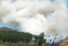Declaran Alerta Amarilla para la comuna de Curepto por incendio forestal El Ajial Declaran Alerta Amarilla para la comuna de Curepto por incendio forestal El Ajial