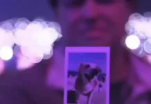 Emotivo homenaje a perrito curicano marcó presentación de Jesse & Joy en el Festival de Viña del Mar Screenshot
