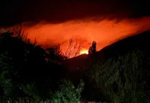 Incendio forestal activo desde el jueves 12 de febrero afecta al Santuario de la Naturaleza “Cajón del Río Achibueno” en Linares