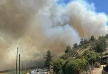 Incendio forestal en Curepto moviliza a brigadas y equipos de emergencia f2d16d64-d899-4b41-b8e9-3da4024e60df