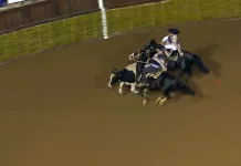 rodeo