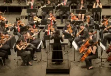 Buscan talentos para integrar la Orquesta Sinfónica Juvenil Regional del Maule