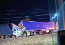Colisión por alcance entre tres camiones deja un lesionado en la Ruta 5 Sur en Talca Colisión por alcance entre tres camiones deja un lesionado en la Ruta 5 Sur en Talca