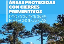 Conaf cierra senderos en parques nacionales ante sistema frontal que avanza hacia la zona central