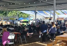 Expositores valoran balance positivo de la Fiesta de la Vendimia de Curicó 2026 pese a lluvias Expositores valoran balance positivo de la Vendimia de Curicó 2026 pese a lluvias-1