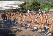 Fiesta del Chivo al Palo reunió a vecinos y visitantes en Armerillo con tradiciones y gastronomía cordillerana Fiesta Costumbrista del Chivo al Palo Armerillo