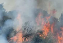 Incendio Cajón del Pejerrey supera las mil hectáreas y mantiene Alerta Roja en Linares