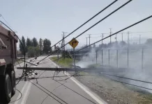 Más de 2.500 clientes afectados por corte de energía tras accidente de tránsito en Teno y Romeral