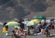 Municipio de Curicó culmina temporada estival con positivo balance del programa social “Tu Verano Feliz” en Iloca-1