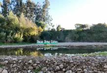 Pelarco inaugura parque Borde Estero y suma nuevo pulmón verde para la comuna-1