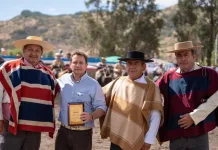 Rodeo Cuenca del Mataquito define a sus campeones en Sagrada Familia