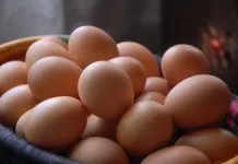 Advierten posible alza en el precio de los huevos en Chile huevos
