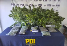 PDI detiene a hombre por infracción a la Ley de Drogas en Retiro 2109284b-9fa1-4944-9abc-564e4783222c
