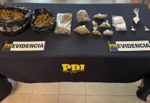 PDI detiene a tres personas en operativos antidrogas en Linares y Longaví 23ece743-7ba2-40c6-a8b9-641fe5b546a5