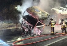 Camión cargado con vehículos se incendia tras violenta colisión en Ruta 5 Sur a la altura de Rosario 3d0f6dcc-73df-483d-b1a8-f59478702065