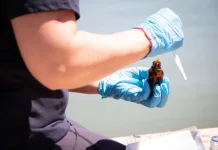 Extienden declaración de Zona de Riesgo Sanitario en el Lago Vichuquén hasta fines de abril Extienden declaración de Zona de Riesgo Sanitario en el Lago Vichuquén hasta fines de abril-2