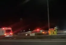 Hombre fallece horriblemente tras ser impactado por vehículo que se dio a la fuga en la Ruta 5 Sur Screenshot
