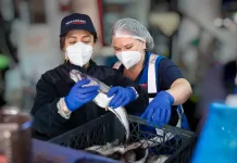 Más de 250 fiscalizaciones sanitarias se realizaron en el Maule previo a Semana Santa Más de 250 fiscalizaciones sanitarias se realizaron en el Maule previo a Semana Santa