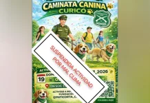 Por condiciones climáticas Carabineros reprograma caminata canina en Curicó