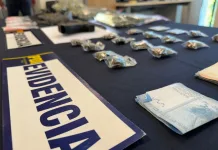 PDI detiene a sujeto por microtráfico y cultivo de cannabis en Linares de4329a6-de73-4811-be15-d69d80a76072