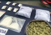 Desarticulan organización criminal dedicada al tráfico de drogas y lavado de activos en Linares Desarticulan organización criminal dedicada al tráfico de drogas y lavado de activos en Linares
